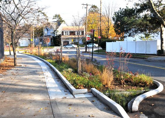 Roadside LID planter